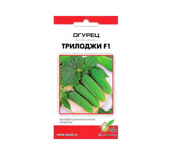 Огурец Дом Семян Трилоджи F1 13811 1