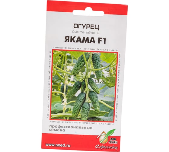 Огурец Дом Семян Якама F1 13860 1