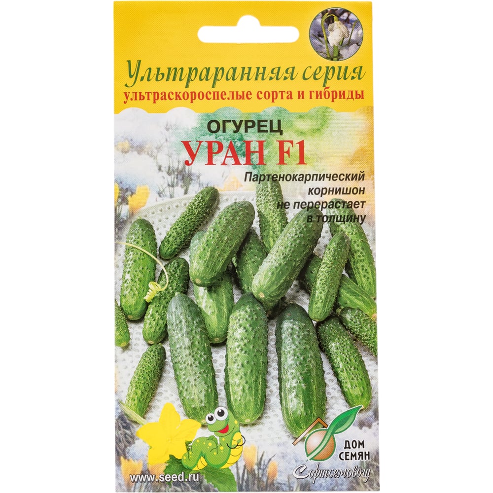 Огурец Дом Семян Уран F1 13840 - выгодная цена, отзывы, характеристики ...