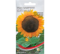 Подсолнечник Дом Семян Бузулук 26212