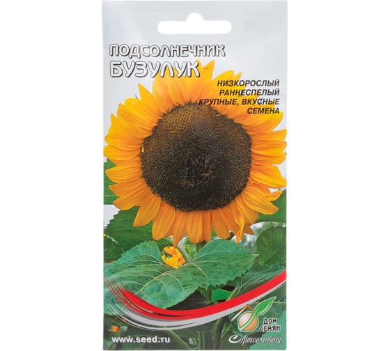 Подсолнечник Дом Семян Бузулук 26212 1