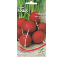 Редис Дом Семян Родос 12327