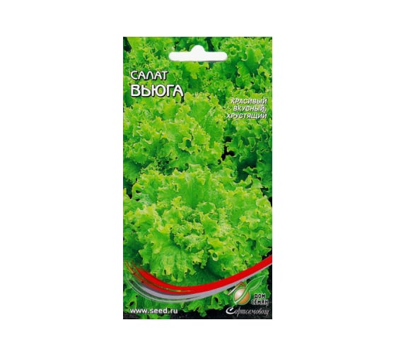 Салат Дом Семян Вьюга 20221 1