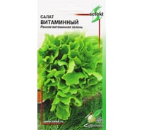 Салат Дом Семян Витаминный 20228