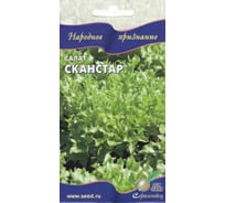 Салат Дом Семян Сканстар 20104