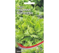Салат Дом Семян Ледяная Королева 20302