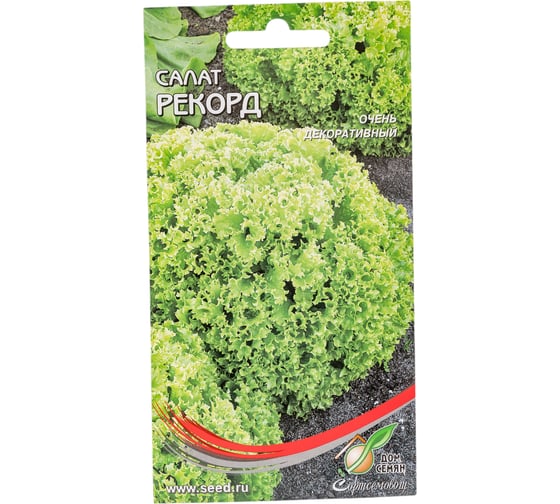 Салат Дом Семян Рекорд 20118
