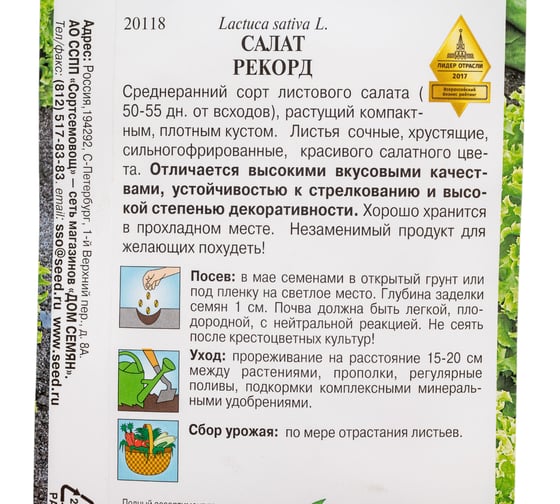 Салат Дом Семян Рекорд 20118