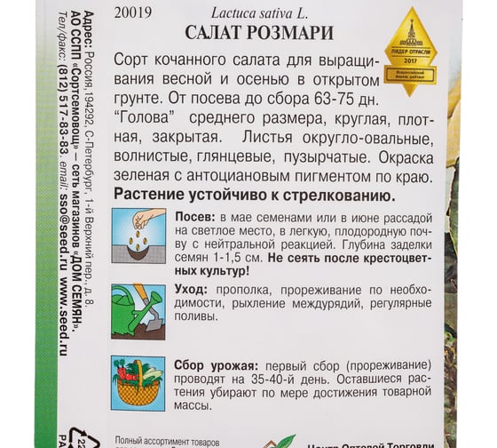 Салат Дом Семян Розмари 20019