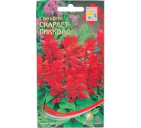 Сальвия Дом Семян Скарлет Пикколо 51542