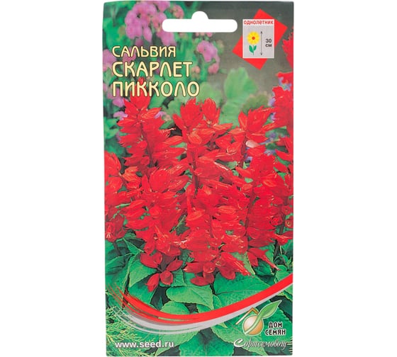Сальвия Дом Семян Скарлет Пикколо 51542