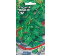 Сельдерей листовой Дом Семян Юта 21431