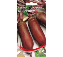 Свекла Дом Семян Цилиндра 12290