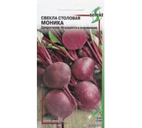Свекла Дом Семян столовая Моника 12221