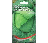 Капуста б/к Дом Семян Белорусская 10540