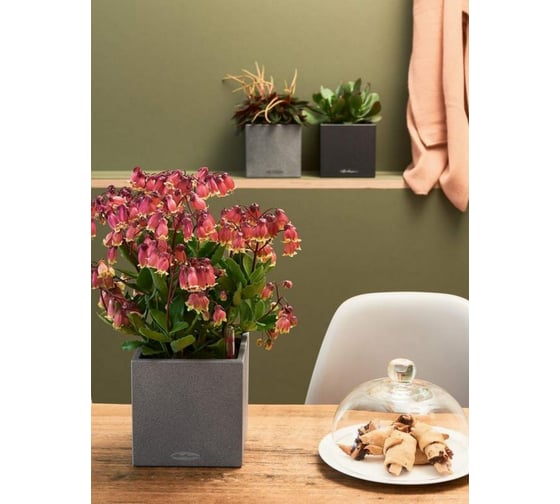 Кашпо Lechuza Canto Stone Complete Графитовый черный 14x14xH13.5 см 13472