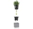 Кашпо Lechuza Canto Stone Complete Графитовый черный 14x14xH13.5 см 13472 2