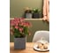 Кашпо Lechuza Canto Stone Complete Графитовый черный 14x14xH13.5 см 13472 5