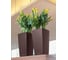 Кашпо Lechuza Cubico Complete Белый блестящий 22x22xH41 см 18460 5