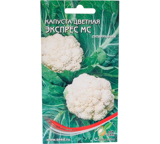 Капуста цветная Дом Семян Экспресс 11034 1