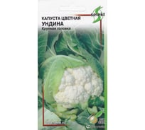 Капуста цветная Дом Семян Ундина 11035