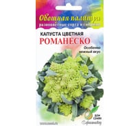 Капуста цветная Дом Семян Романеско 11018