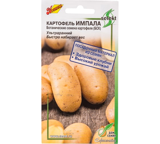 Картофель Дом Семян Импала 80701 1
