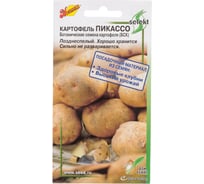 Картофель Дом Семян Пикассо 80702