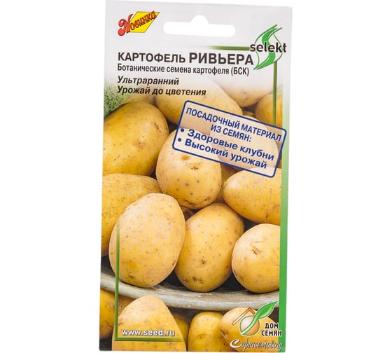 Картофель Дом Семян Ривьера 80704