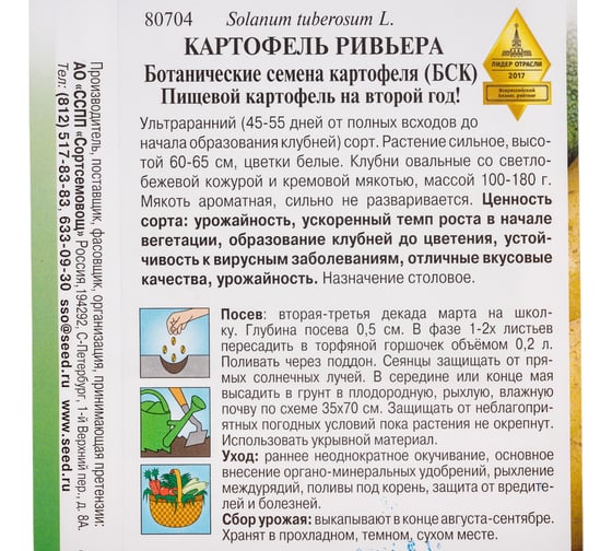 Картофель Дом Семян Ривьера 80704