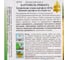 Картофель Дом Семян Ривьера 80704 3
