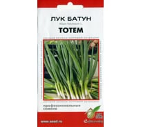 Лук батун Дом Семян Тотем 23067
