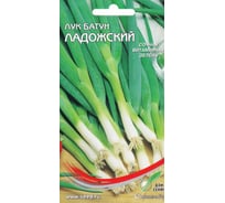 Лук батун Дом Семян Ладожский 23410