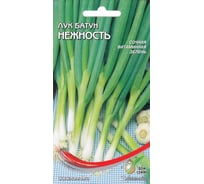 Лук батун Дом Семян Нежность 23411