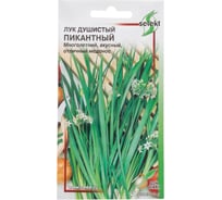 Лук душистый Дом Семян Пикантный 23501