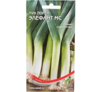 Лук порей Дом Семян Элефант МС 23656