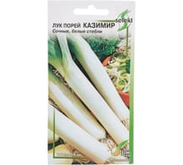 Лук порей Дом Семян Казимир 23667