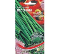 Лук шнитт Дом Семян Весенний 23700
