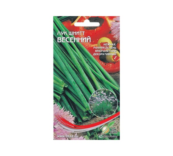 Лук шнитт Дом Семян Весенний 23700 1