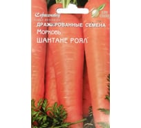 Морковь Дом Семян Шантенэ Роял драже 12024/3