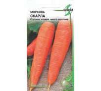 Морковь Дом Семян Скарла 12058