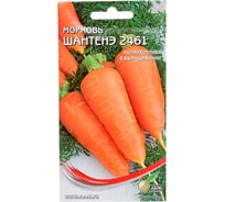 Морковь Дом Семян Шантенэ 2461 12025