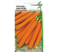 Морковь Дом Семян Нантезе 12042