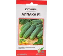 Огурец Дом Семян Алпака F1 13892