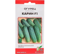 Огурец Дом Семян Карин F1 13814