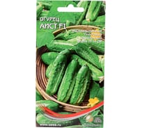Огурец Дом Семян Аист F1 13683
