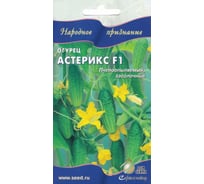 Огурец Дом Семян Астерикс F1 13512