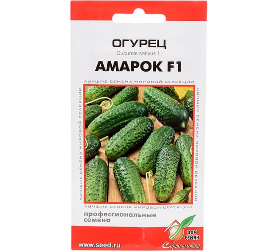 Огурец Дом Семян Амарок F1 13853 1