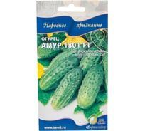 Огурец Дом Семян Амур F1 13788