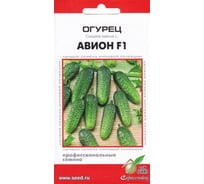 Огурец Дом Семян Авион F1 13889